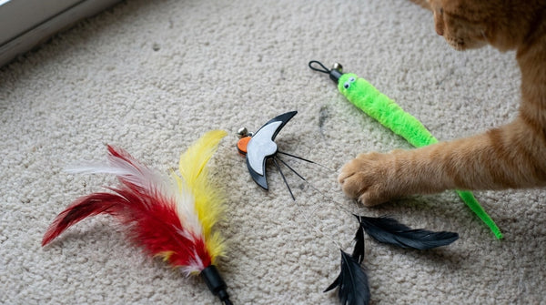 Three cat wand lures laid side by side on a pale rug, one feathered, one insect-shaped, one soft and worm-like, with a single cat paw reaching in from the edge