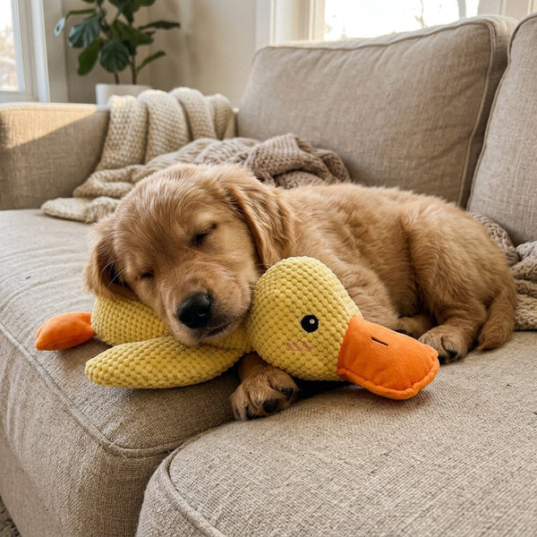 Dog settled on a rug cuddling the yellow Mellow Calming Duck plush toy