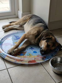 A large dog asleep stretched out across the water-filled cooling mat on a tiled kitchen floor beside a steel water bowl