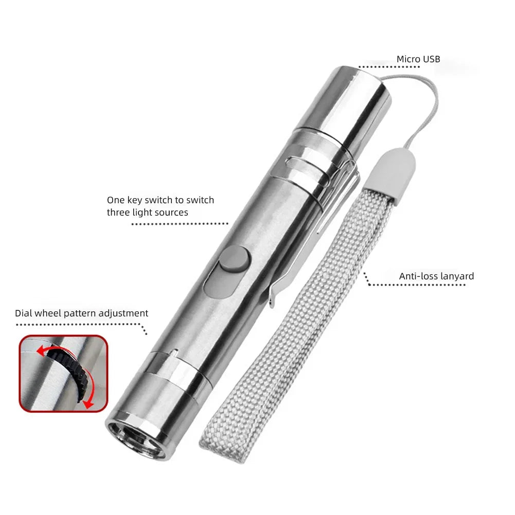 Rechargeable cat laser pointer with flashlight