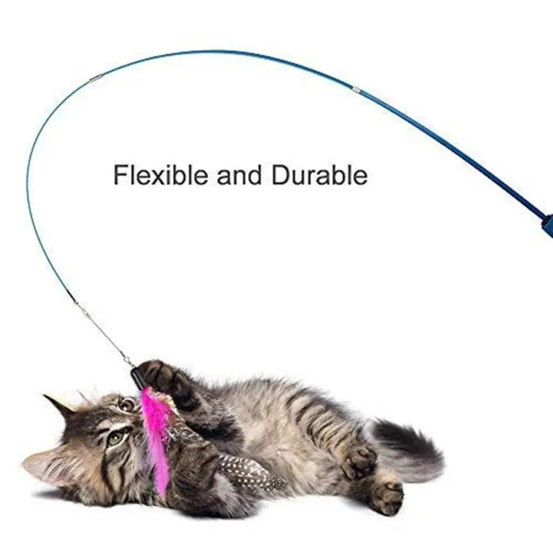 Retractable cat feather teaser wand