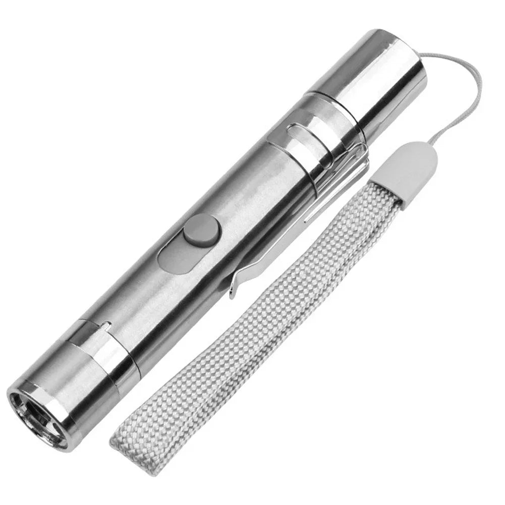 Rechargeable cat laser pointer with flashlight