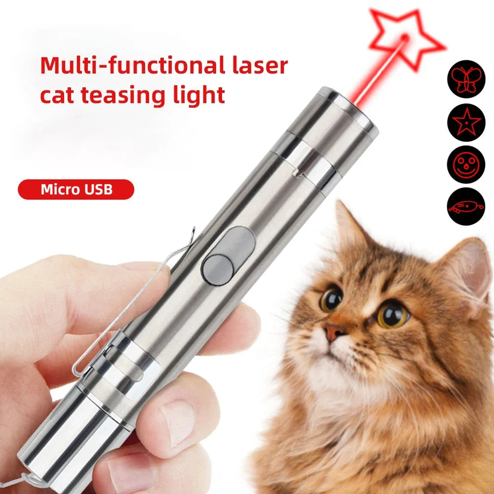Rechargeable cat laser pointer with flashlight