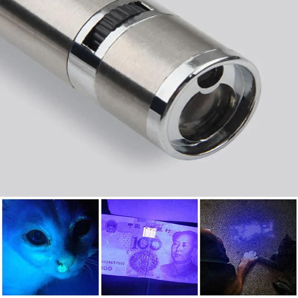 Rechargeable cat laser pointer with flashlight