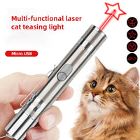 Rechargeable cat laser pointer with flashlight