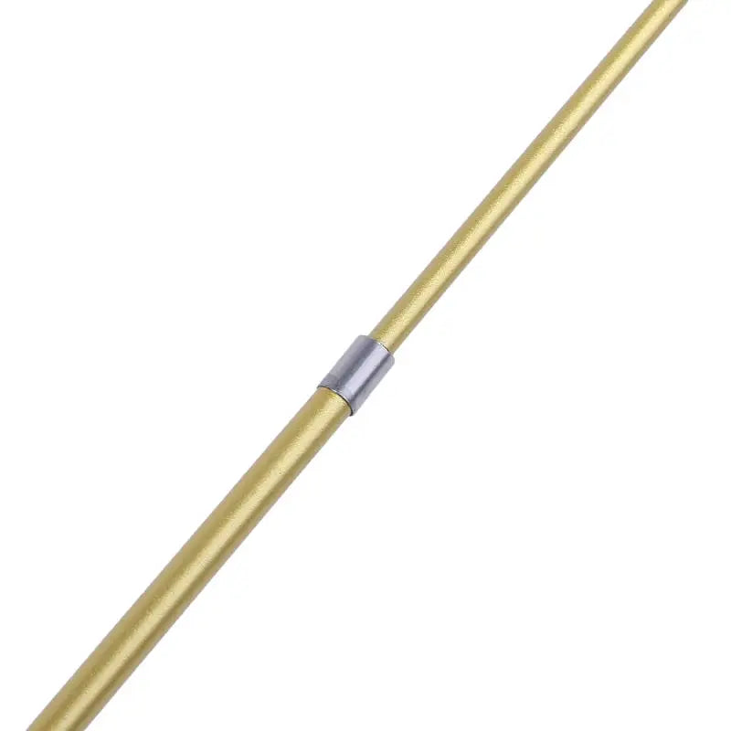 Retractable cat feather teaser wand