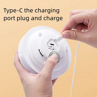 Motion Activated Chirping Bird Cat Toy, USB-C Rechargeable