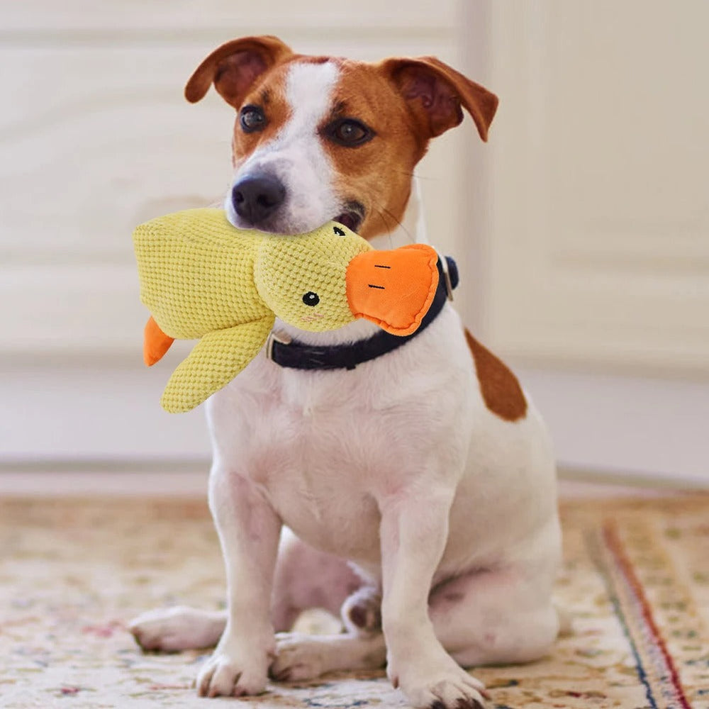 A comfort toy, and honest about it