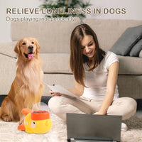 Dog Slow Feeder & Treat Puzzle
