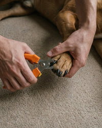 Millers Forge stainless steel plier-style dog nail clipper