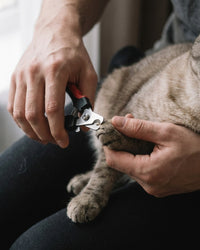 Stainless steel pet nail clippers with built-in nail file